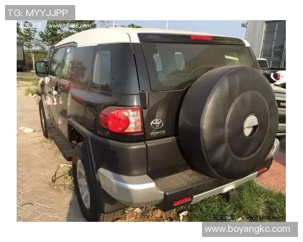 北京网球队在洲际杯积分榜中以78分稳居第一名展现强劲实力